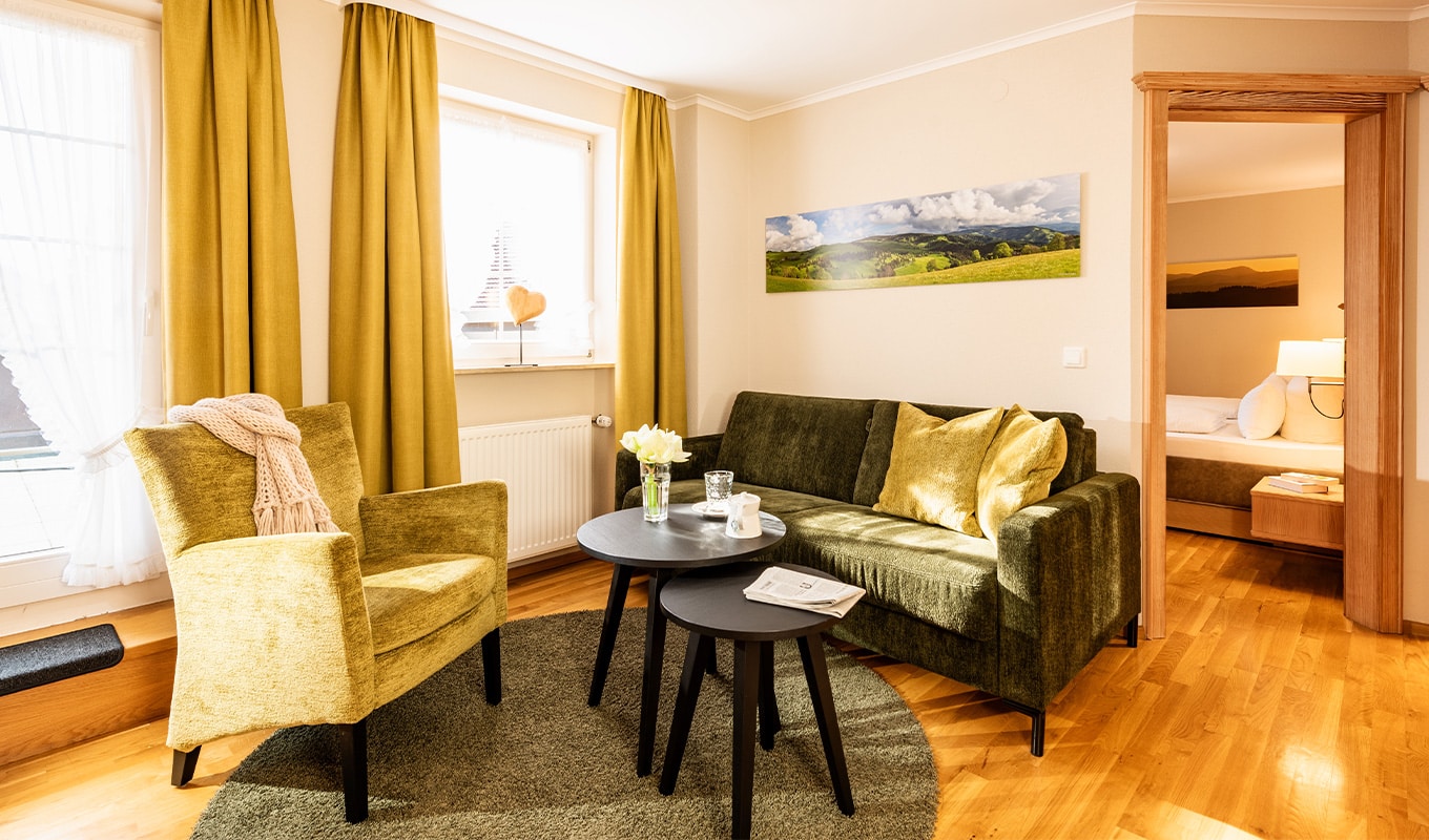 Wohnbereich Apartment