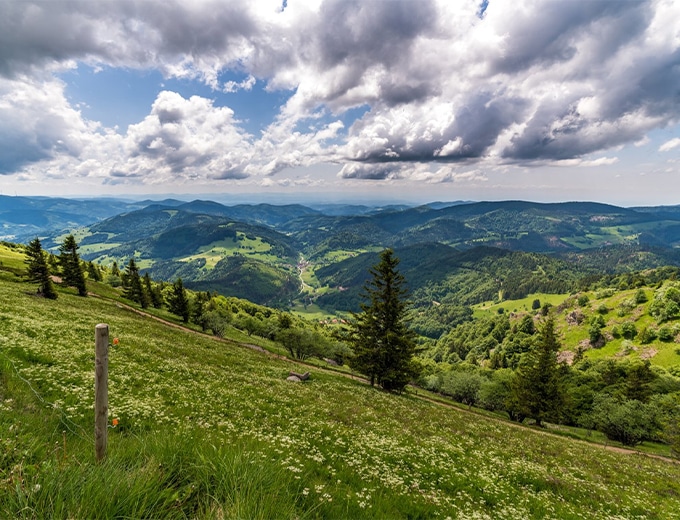 Belchensteig Gourmet Trail - Münstertal Hike