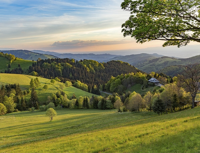 View over Münstertal with meadows, forests and Black Forest heights
